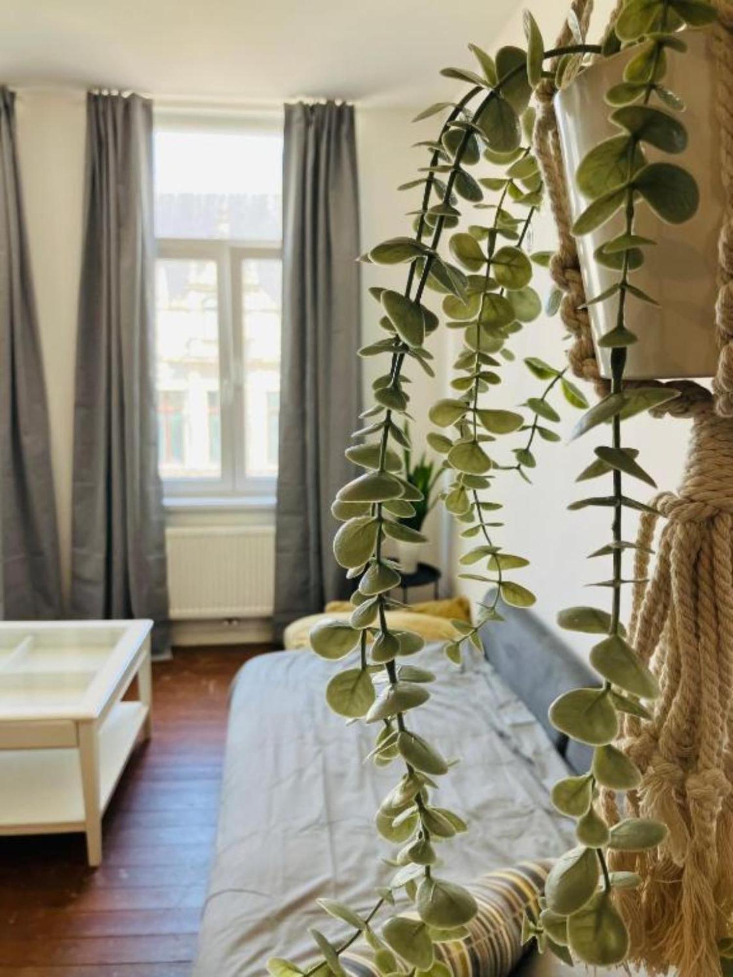Bnb Suikernest Anversa Esterno foto